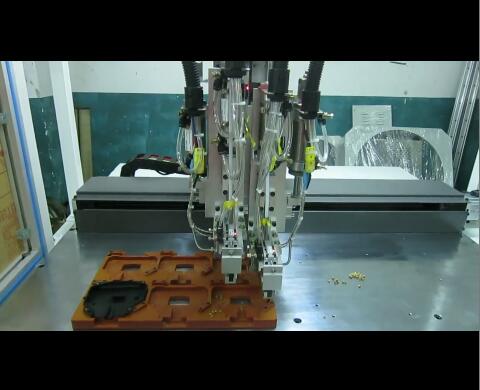 �Ԅ�(d��ng)��ĸֲ��C(j��)